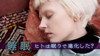 人生の3分の1の時間を占める“睡眠”で起きている“脳の進化”に迫る＜ヒューマニエンス　40億年のたくらみ＞