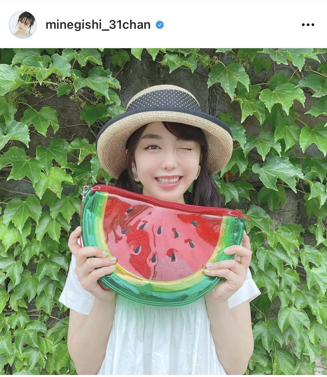 ※峯岸みなみ公式Instagram(minegishi_31chan)のスクリーンショット