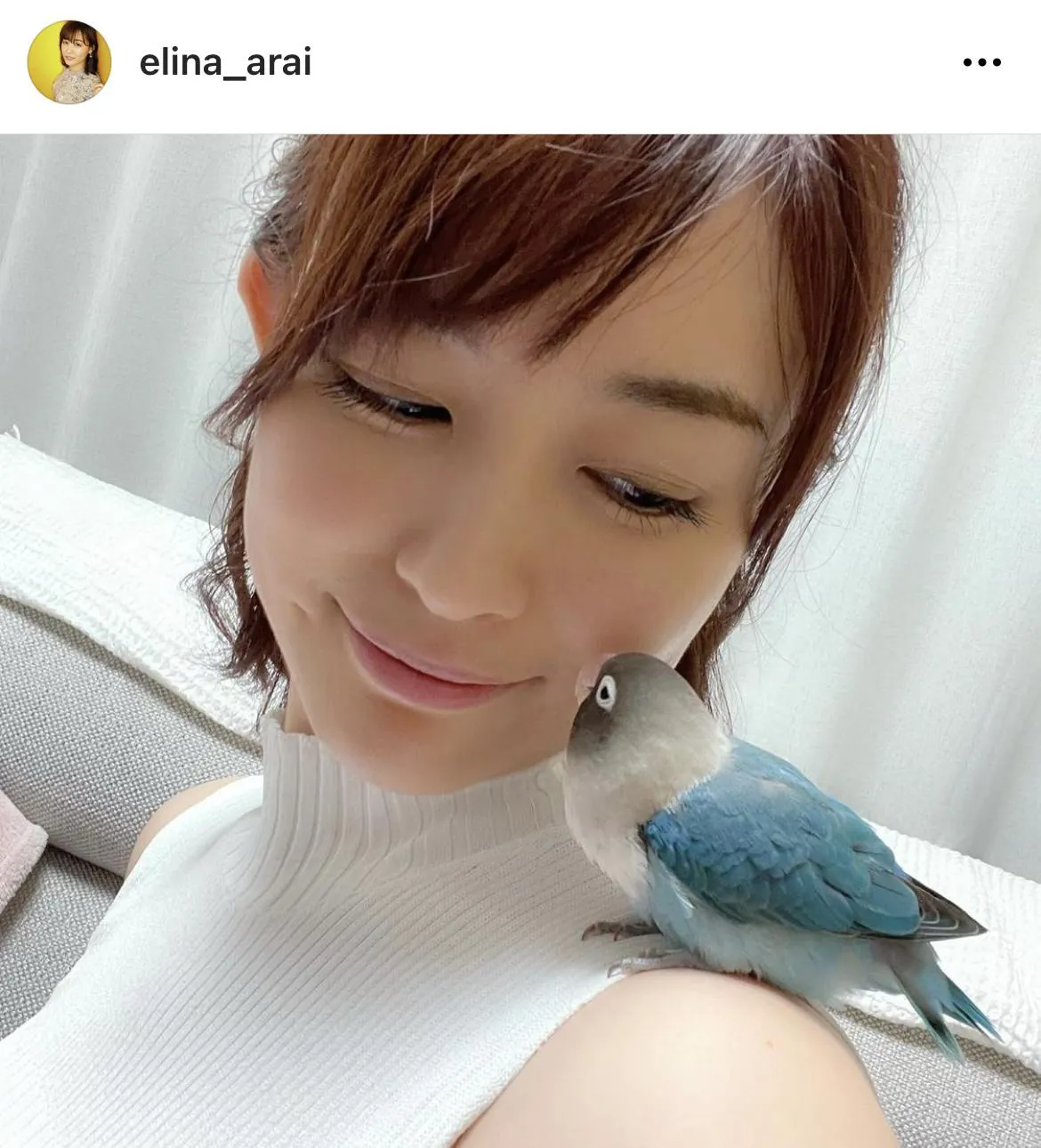 ※新井恵理那オフィシャルInstagram(elina_arai)より