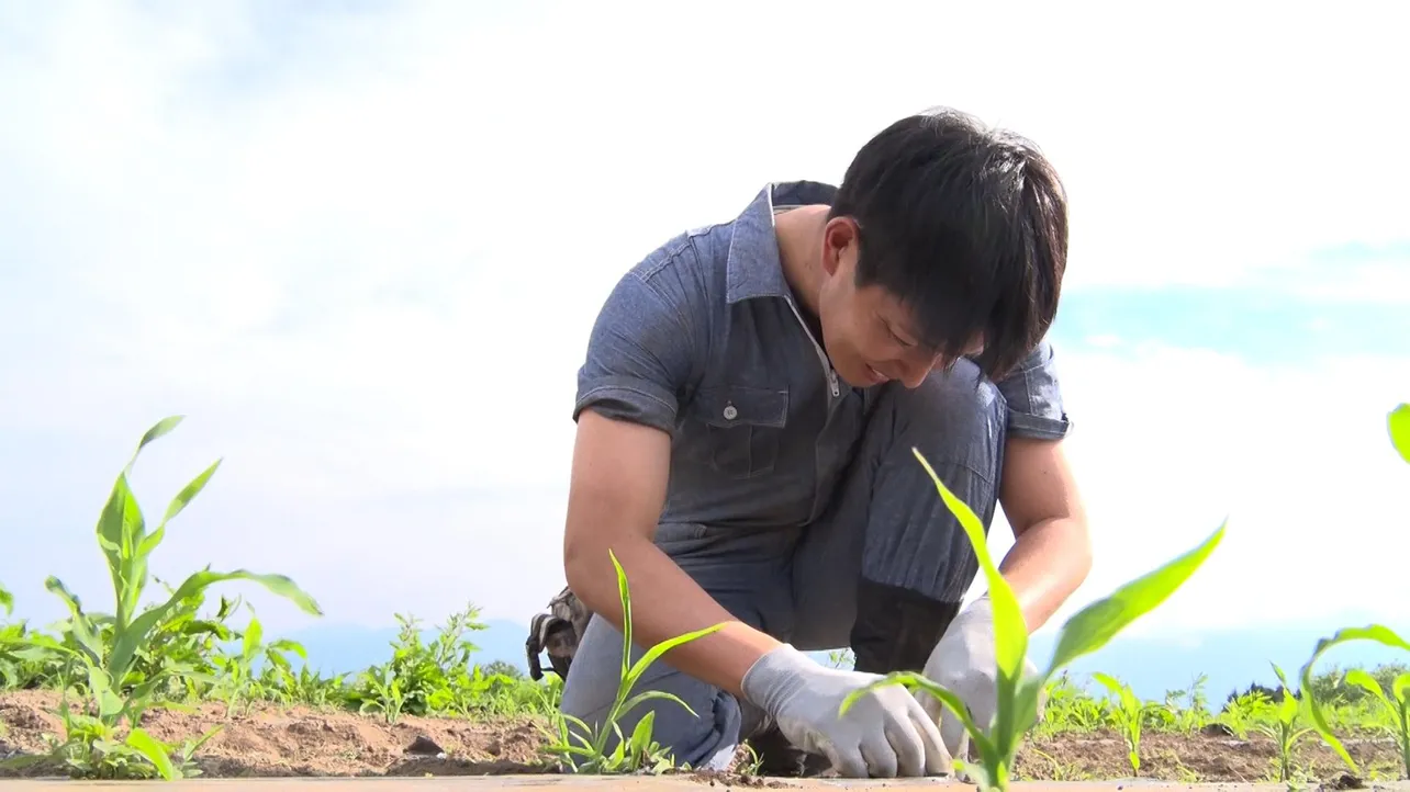 新企画「工藤阿須加、楽しい農園生活」はたレタスとカブを初収穫