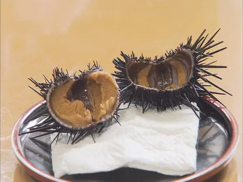 磯焼けウニを価値のある商品に変える!大分うにファームの挑戦<世界一の九州が始まる!>