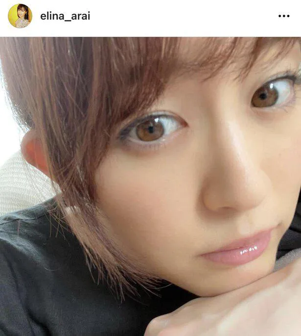 ※新井恵理那公式Instagram(elina_arai)のスクリーンショット