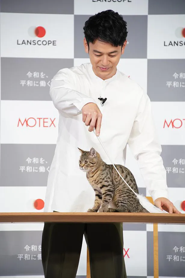 【写真を見る】猫じゃらしで“かつお”をあやす妻夫木聡