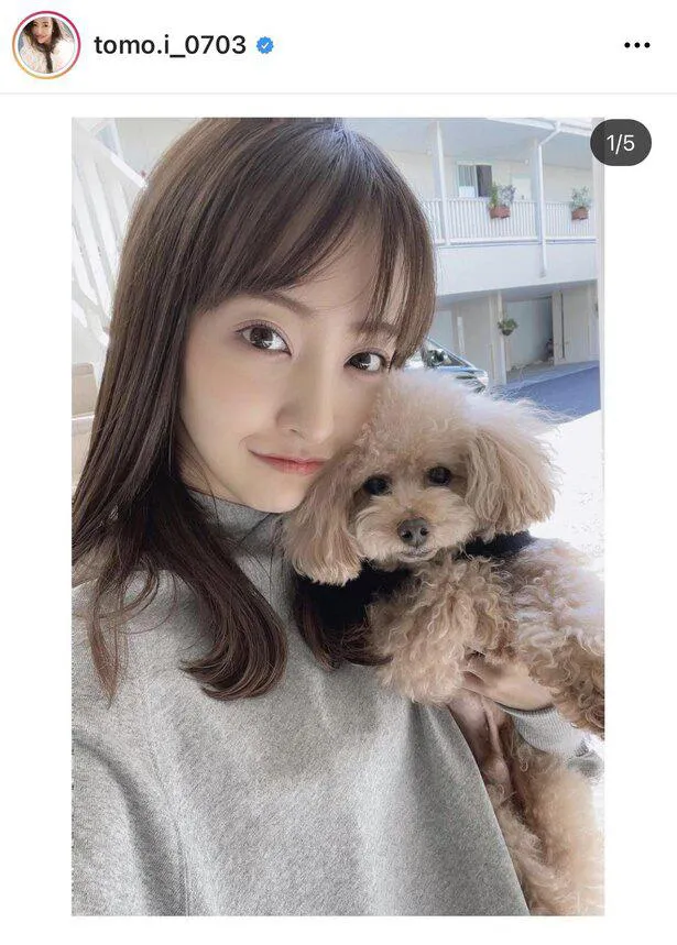 板野友美と愛犬“クーちゃん”のキュートな2SHOT