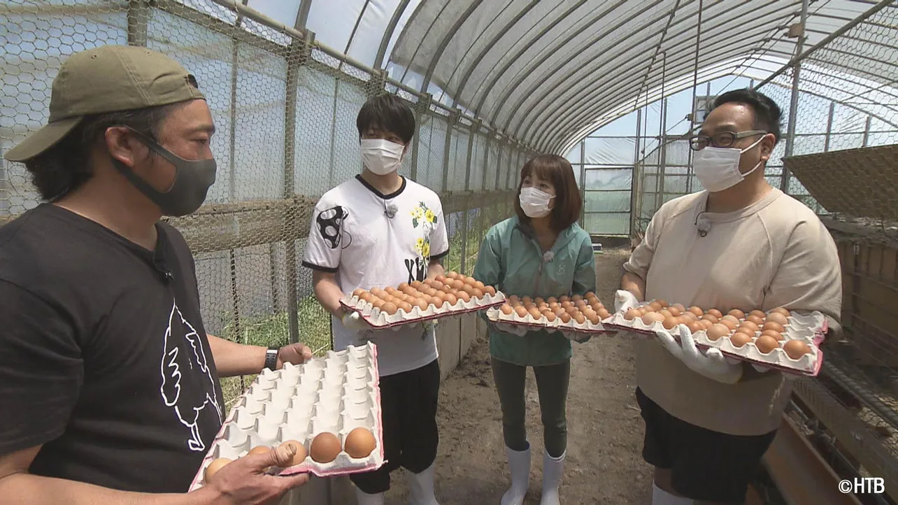 【写真を見る】戸次チームは養鶏場で卵のいろはを学ぶ