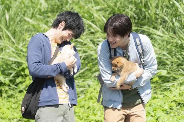 ワンちゃんファースト の中川大志が無邪気に犬と戯れる 映画 犬部 Webザテレビジョン