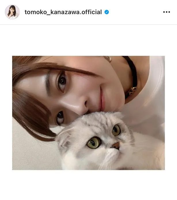 画像 Juice Juice 金澤朋子 愛猫との 2shot にファン大喜び すいとも よき 表情がイイね 2 15 Webザテレビ ジョン