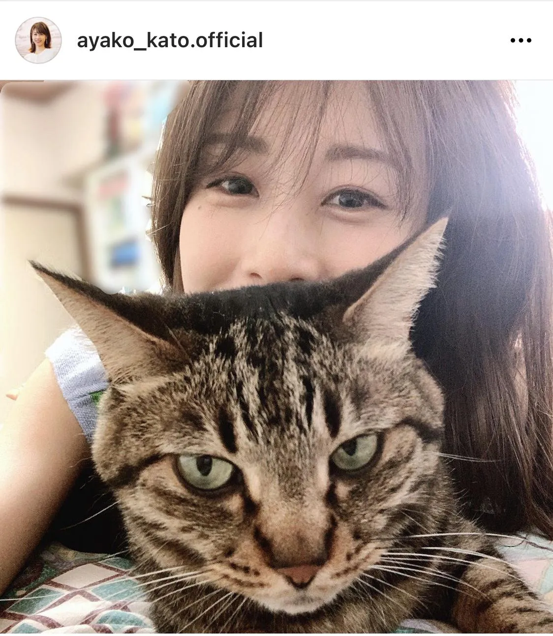 加藤綾子と、力強いまなざしを向ける愛猫“みーちゃん”