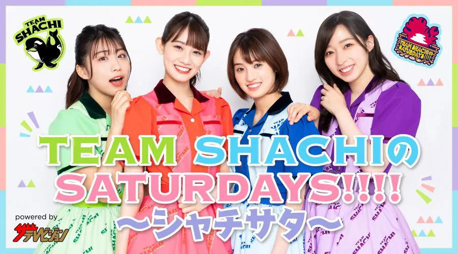 TEAM SHACHIのニコニコチャンネルがオープン！