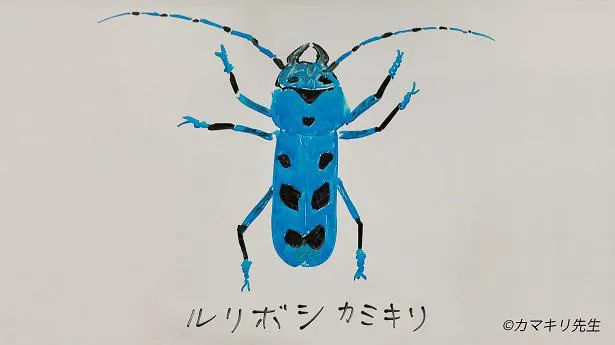 【写真を見る】香川照之“カマキリ先生”が描いた「ルリボシカミキリ」