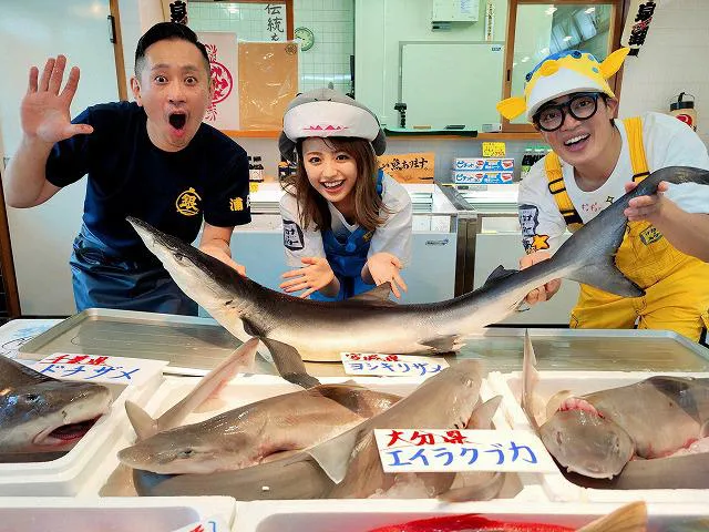 鮮魚店ではサメの刺身を試食！