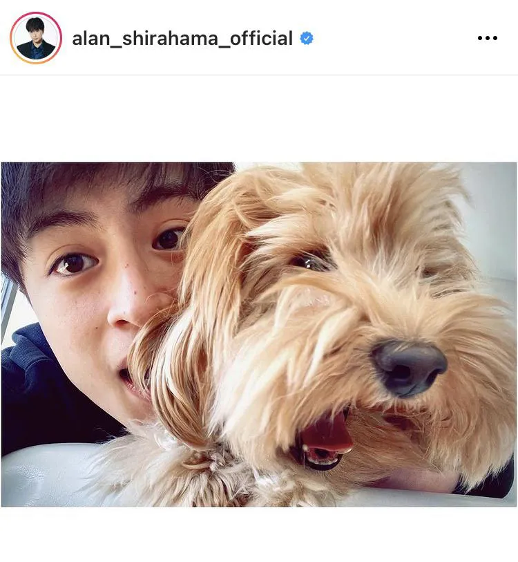 ※白濱亜嵐公式Instagram(alan_shirahama_official)より