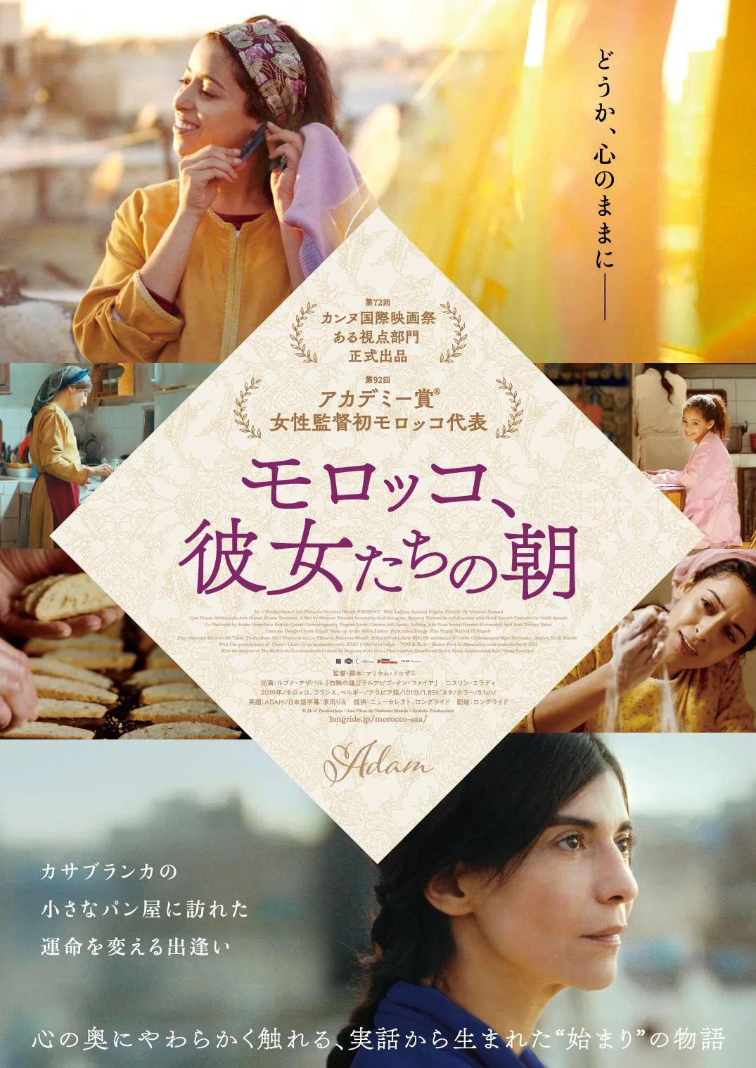 若手芸能スター作品 DVDまとめ売り 4作 期間限定販売送料無料 - matesic.rs