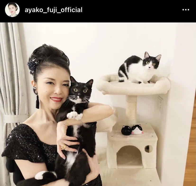 藤あや子と保護猫のマル＆オレオ