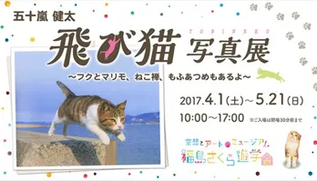 【ねこ画像いっぱい】『飛び猫』カメラマン五十嵐健太の全国巡回写真展！ 最新刊『もふあつめ』から選りすぐりカットも展示！