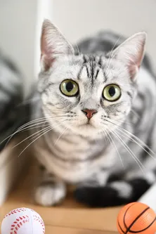 「イタイケに恋して」で"女優デビュー"のネコ・まる「石井さんに美の秘訣を聞いておけばよかった」<インタビュー>