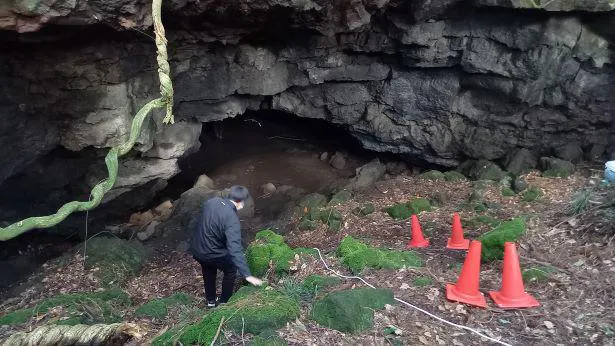第3話「鬼伝説の怪」に登場する洞窟入口の山道