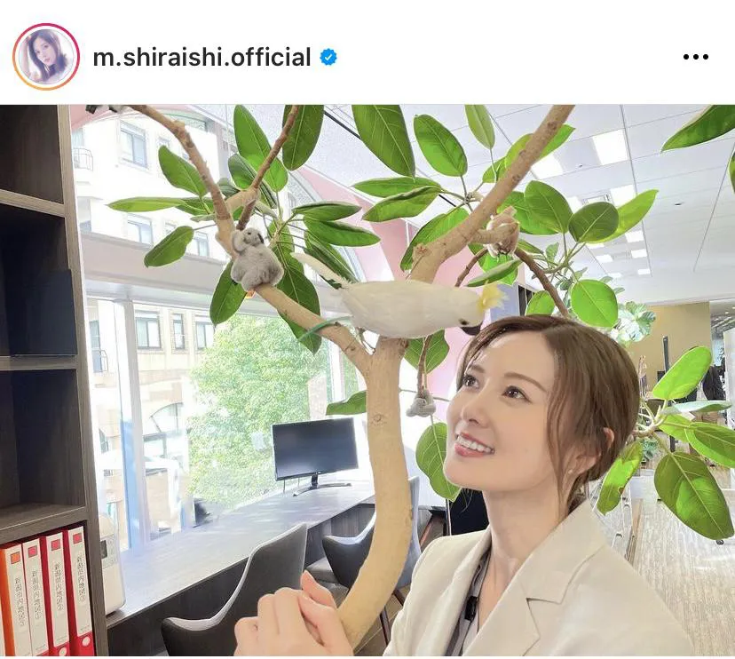 ※白石麻衣オフィシャルInstagram(m.shiraishi.official)のスクリーンショット