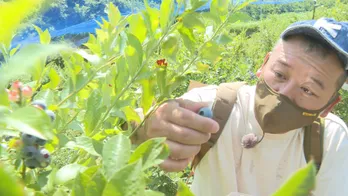 まだまだ夏休み気分のバイきんぐ西村、瀬戸内のハワイと呼ばれる島・周防大島をぐるっと1周する旅へ＜西村キャンプ場＞