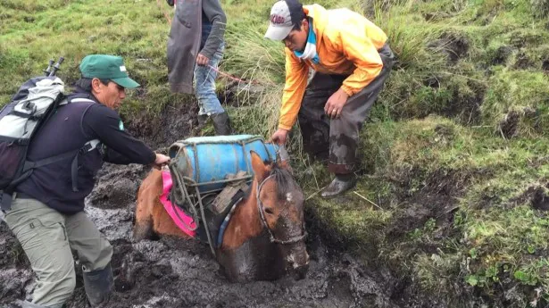 さまざまな壁に当たりながらの登山。23頭の馬も引き連れていくが…