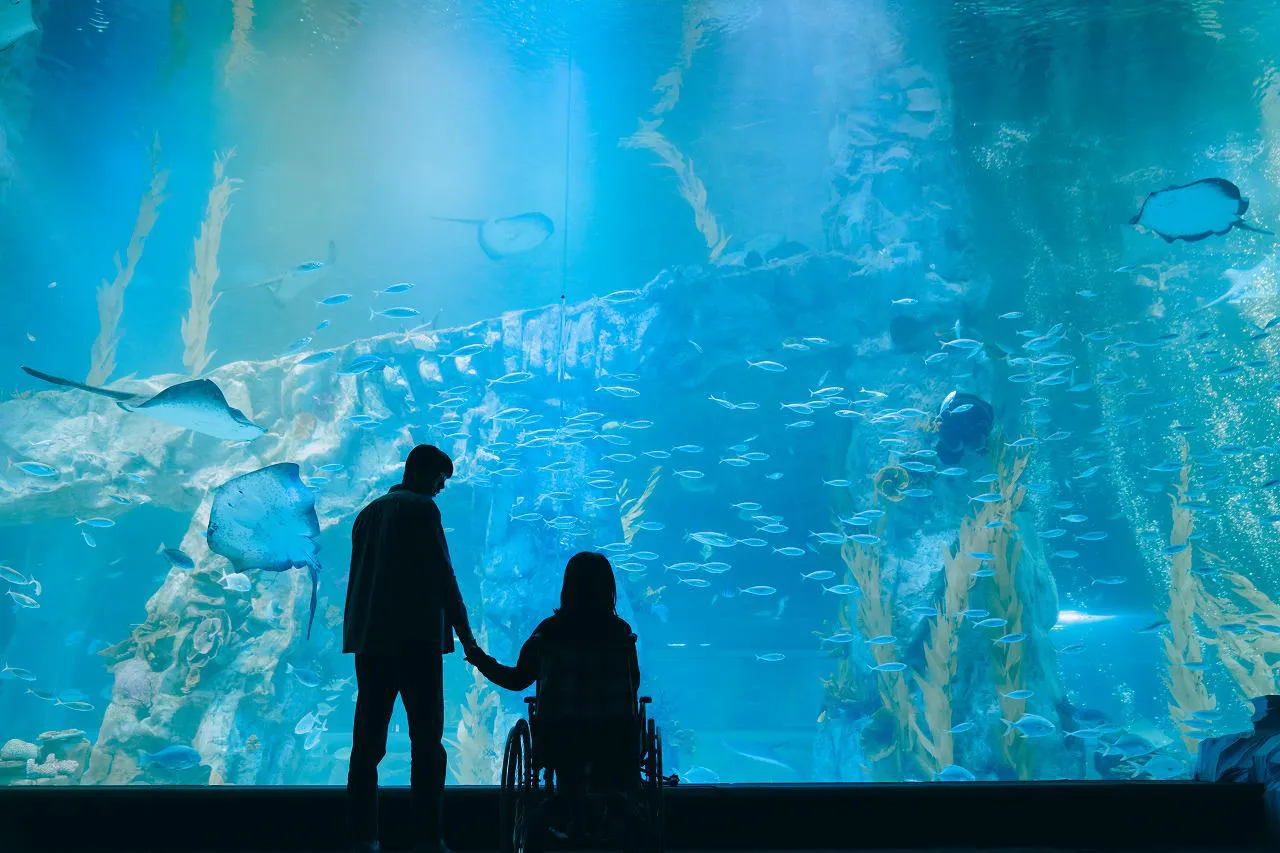 【写真を見る】水族館の大きな水槽の前で手をつなぐ二人