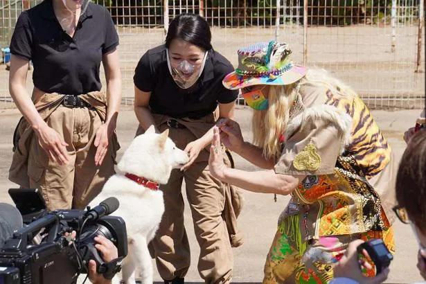 【写真を見る】虹色のマスクを着用したDJ KOO、真っ白な“有名犬”と戯れる　