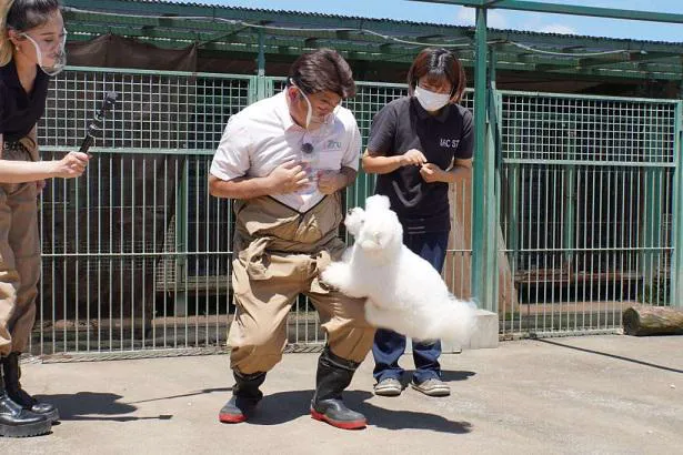 イヌに飛び付かれる白輪剛史園長　