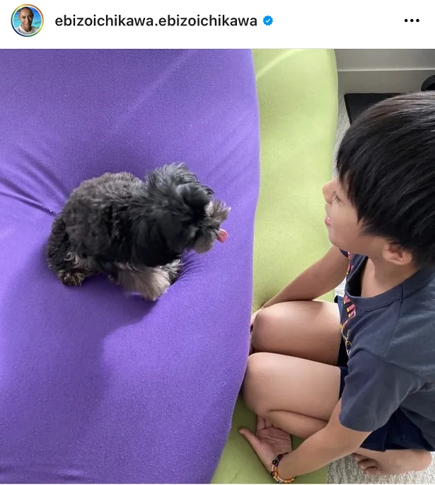 【写真を見る】愛犬ラブちゃんと見つめ合う勸玄くん