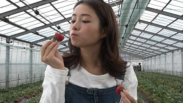 画像 石原さとみがいちご狩り体験！かわい過ぎる試食シーンも(2/12) WEBザテレビジョン