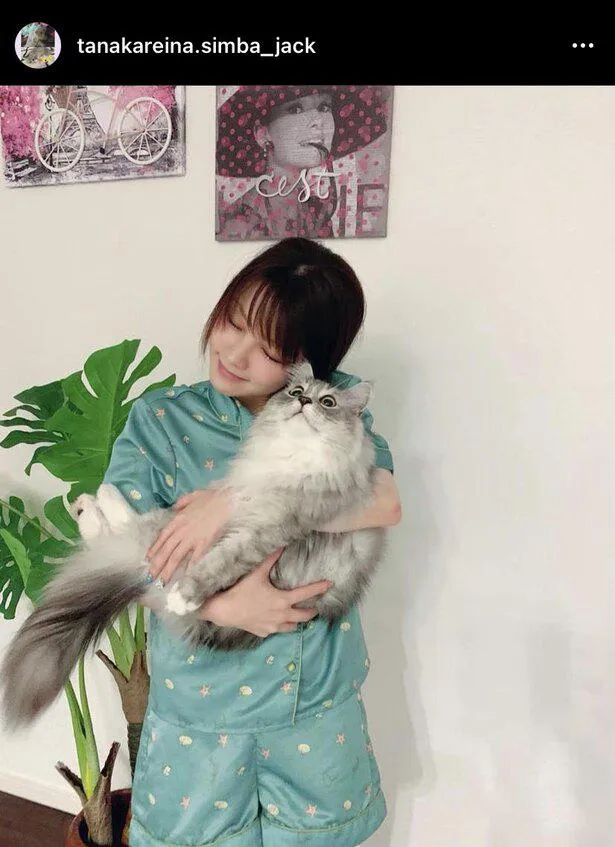 ※画像は田中れいな猫専用Instagram(tanakareina.simba_jack)より