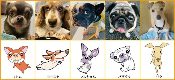 画像 坂上忍の愛犬たちがイラスト化 イラストの再現度がわかる比較画像が到着 映画 リクはよわくない 5 13 Webザテレビジョン