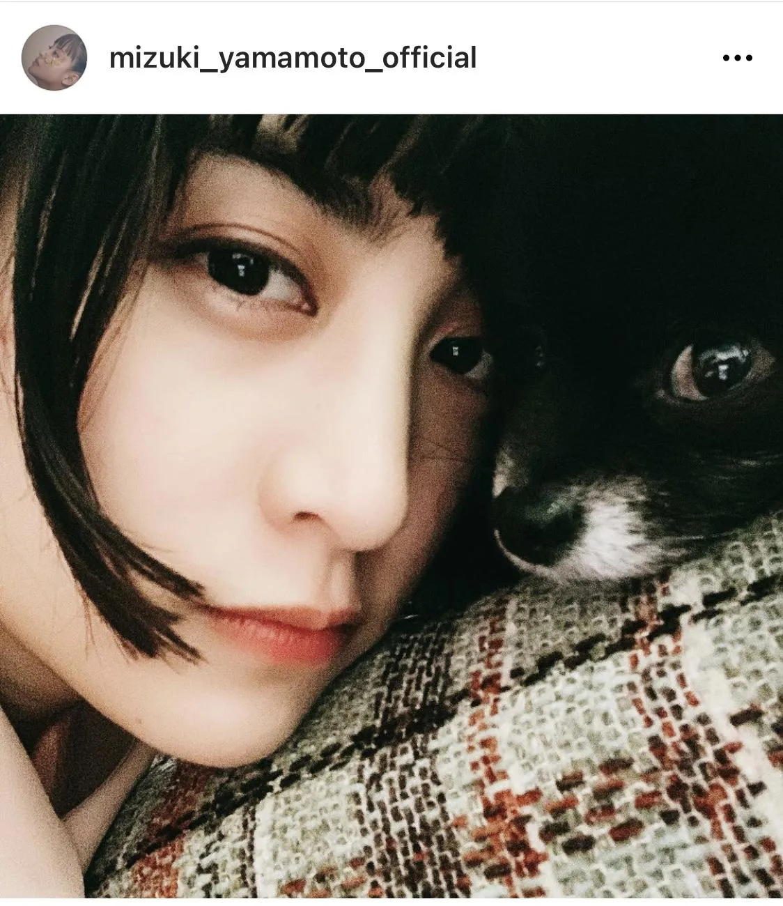 【写真を見る】山本美月と愛犬・こつめちゃんのキュートなドアップ2SHOT