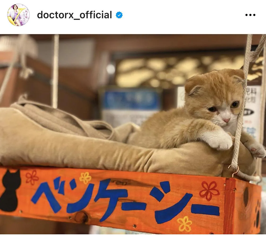 ※画像は「ドクターX ～外科医・大門未知子～」(doctorx_official)オフィシャルInstagramのスクリーンショット