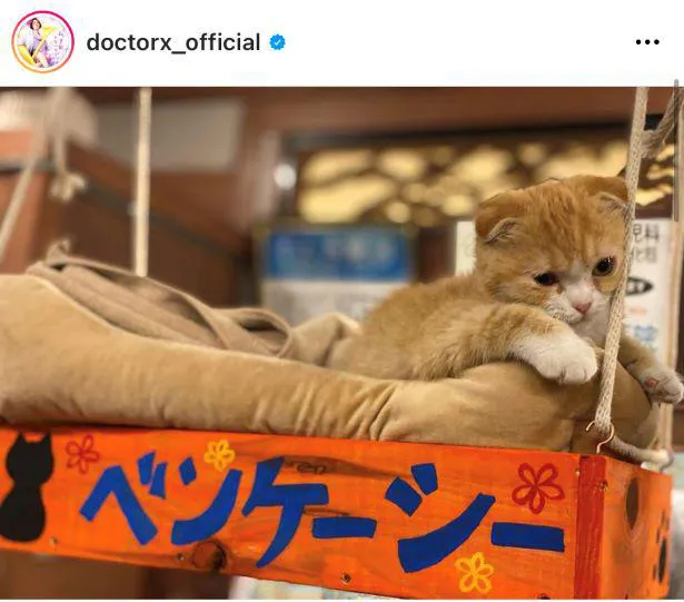 ※画像は「ドクターX ～外科医・大門未知子～」(doctorx_official)公式Instagramより