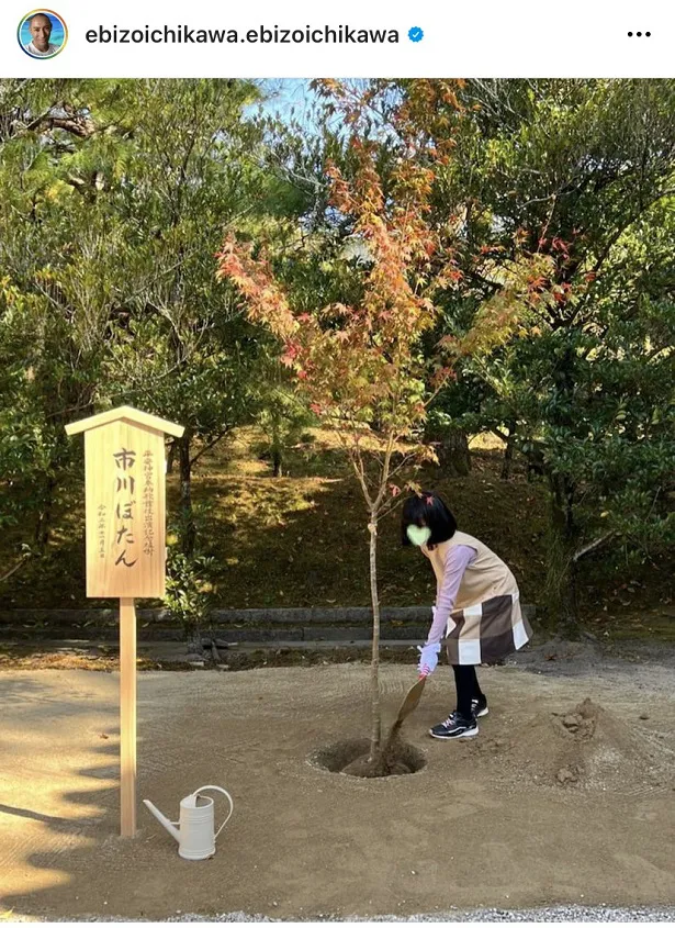 【写真を見る】記念植樹を行なう市川ぼたんこと麗禾ちゃん