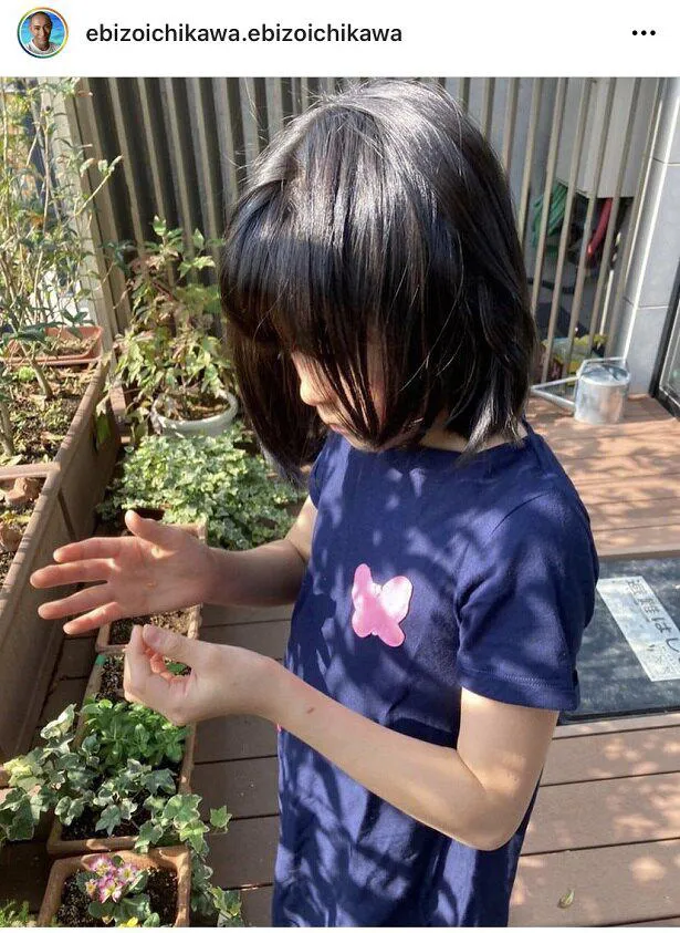 市川ぼたん(麗禾ちゃん)、金木犀の花びらで遊ぶ少女の横顔に