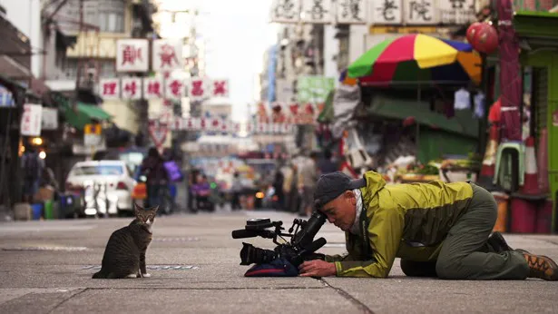 【写真を見る】ネコに向き合いながら、撮影を行う動物写真家・岩合光昭