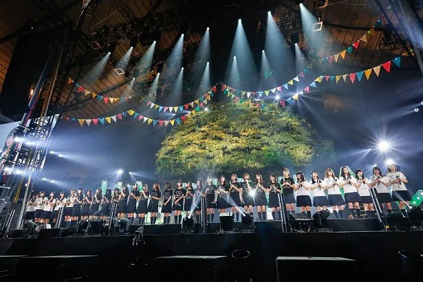 欅坂46＆けやき坂46（ひらがなけやき）一同で歌う「W-KEYAKIZAKAの詩」もバックには大きな欅の木が！