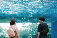 神尾楓珠×山田杏奈、“好きなものを好きと言えない”二人の出会いから告白を描いた動画が解禁＜彼女が好きなものは＞