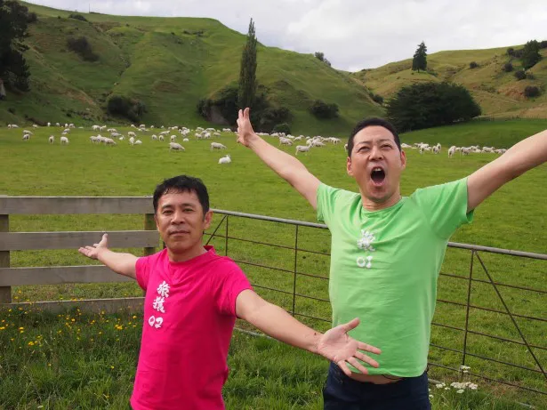 「ニュージーランドといえばこれ！」という牧場風景をバックに