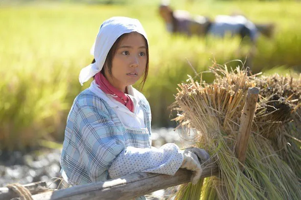 4月8日に放送された「ひよっこ」第6回では、稲刈りのシーンを中心に描かれた