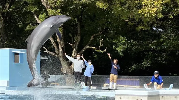 【写真を見る】大迫力のイルカジャンプに挑戦する甲斐心愛、ガクテンソク・奥田修二