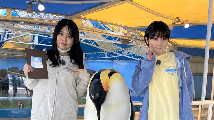 STU48・矢野帆夏・甲斐心愛が香川・新屋島水族館でお仕事体験