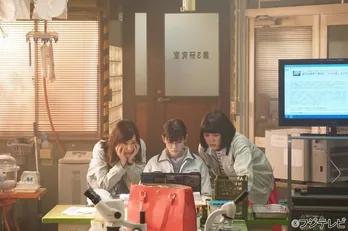 【試写室】「人は見た目が100パーセント」桐谷美玲の意外な姿に爆笑