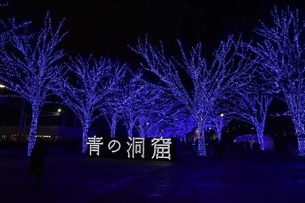 【写真を見る】2016年より代々木公園の冬を彩ってきたイルミネーションイベント「青の洞窟 SHIBUYA」