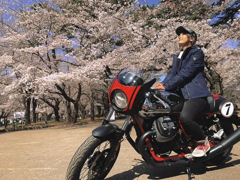 満開の桜…平嶋夏海とバイク