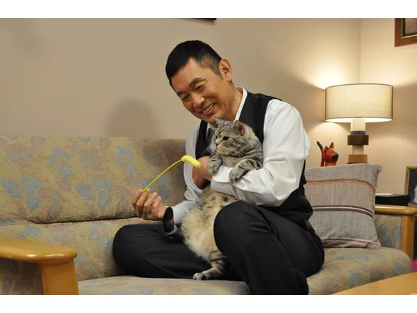 警視庁 捜査一課長 に出演するネコのキュートなshotを一挙公開 Webザテレビジョン