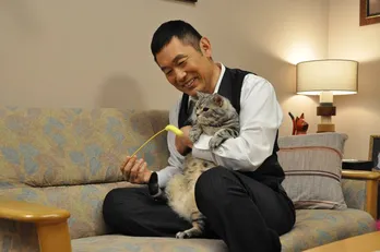 「警視庁・捜査一課長―」に出演するネコのキュートなSHOTを一挙公開!