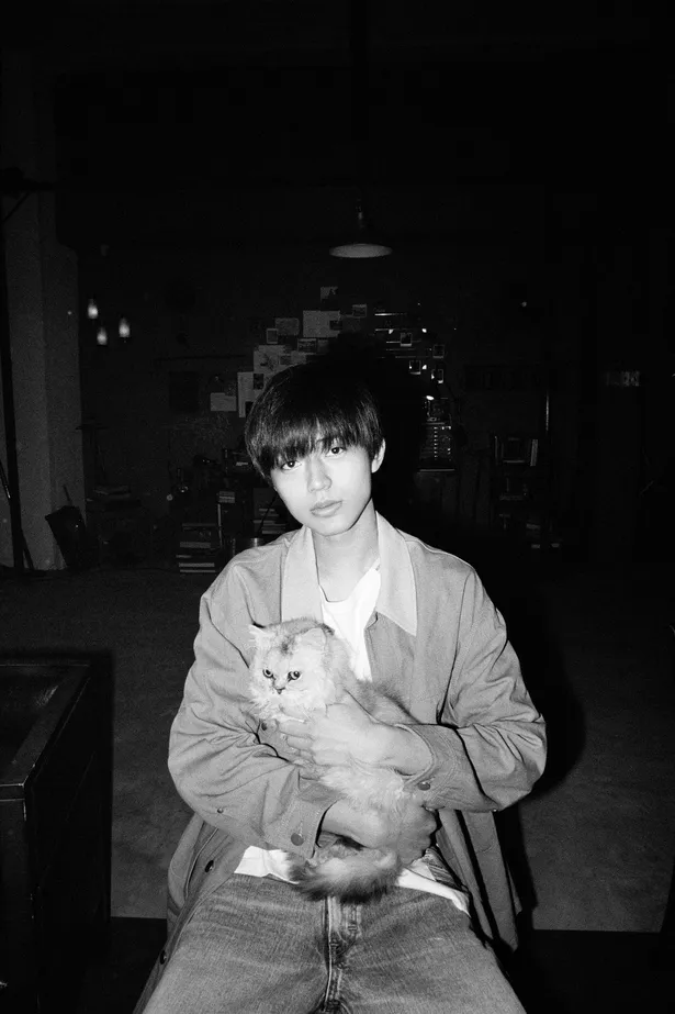 King & Prince永瀬廉、ペルシャ猫を抱いて写るフィルムカメラ写真が解禁