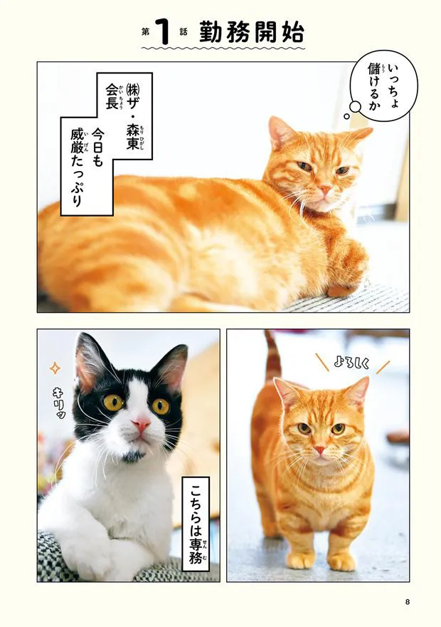 【写真マンガ】会長VS専務…2匹の猫のかわいい攻防戦
